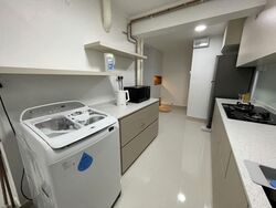 Blk 161 Mei Ling Vista (Queenstown), HDB 3 Rooms #634302091